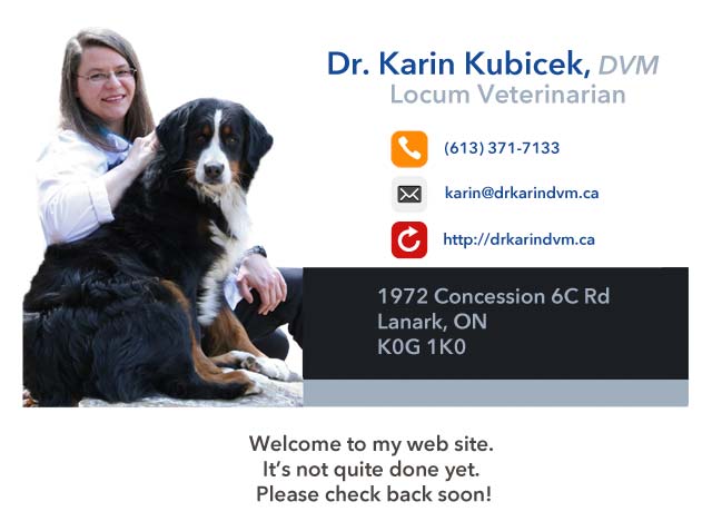 Dr. Karin Kubicek DVM, Locum Veterinarian, 613-371-7133, Serving the 613 area code.